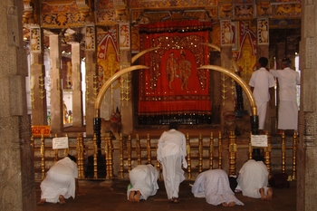 Prayers at Tooth Temple, Kandy